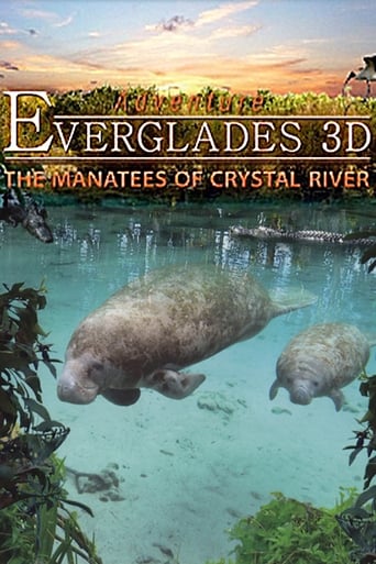 Abenteuer Everglades - Die Manatis des Crystal River