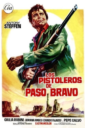Der Fremde von Paso Bravo