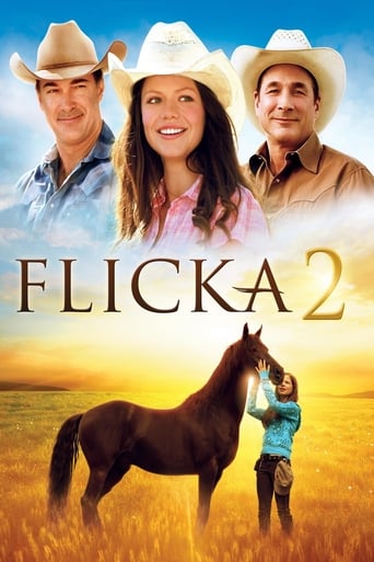 Flicka 2 - Freunde fürs Leben