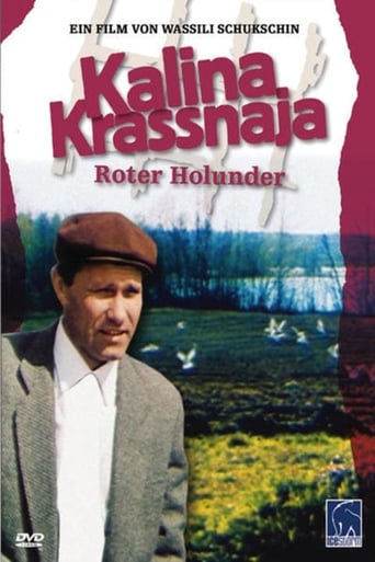 Kalina Krassnaja – Roter Holunder