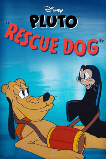 Pluto der Rettungshund
